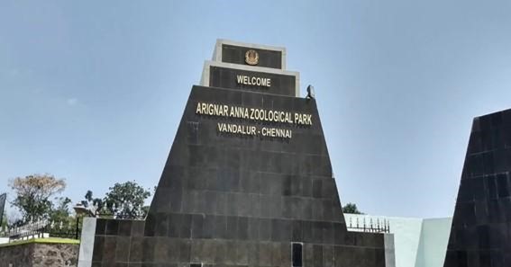 Arignar Anna Zoological Park, India 