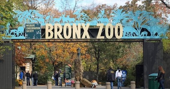 Bronx Zoo, United States 