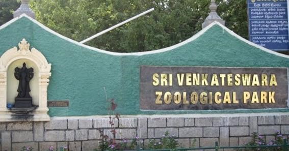 Sri Venkateswara Zoological Park, India