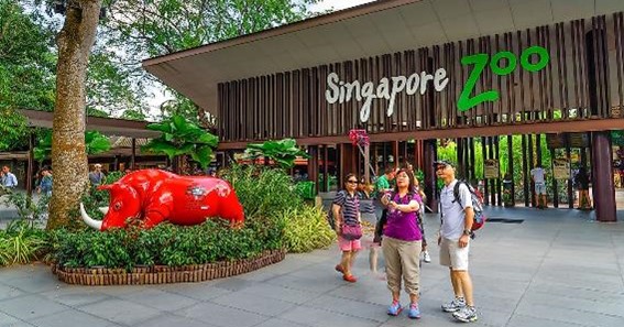 Top 11 Largest Zoos In The World