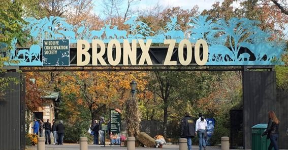 Bronx Zoo, United States 