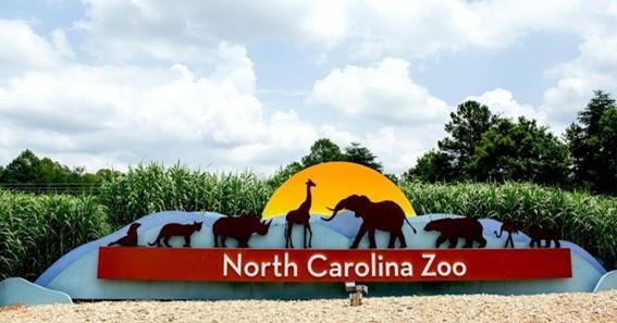 Northern Carolina Zoo, United States 