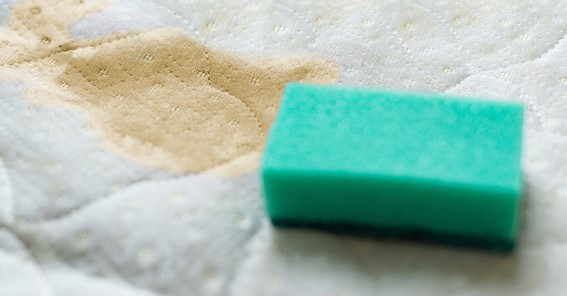 Easily Remove Urine Smell and Stains From Your Mattress: In Simple Steps