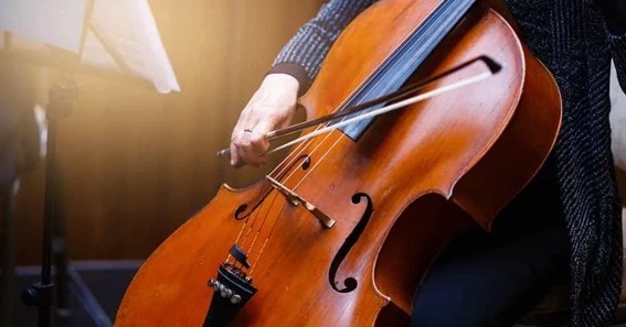 Types of Cello: Which One Is Best for You?