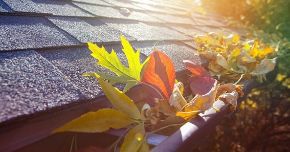 Autumn Roof Maintenance Checklist and Tips