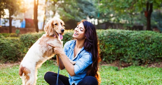 Four Tips For Being A Great Pet Owner