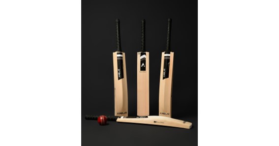 The Best Bat For Professional Cricket: English Willow Grading Guide