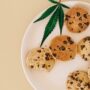 The Road to Potency: The Extraction Process of Delta-8 THC Edibles