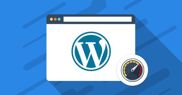 Tips To Enhance Your WordPress Website's Speed