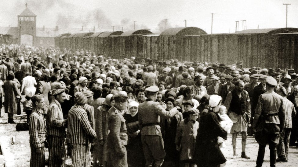 The Dark Truth of Auschwitz Gas Chambers: A Harrowing Account of Jewish Holocaust Victims"